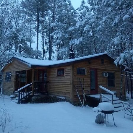 Rustic Quaint Cabin In The Woods--Pets Welcomed Dunnsville Zewnętrze zdjęcie