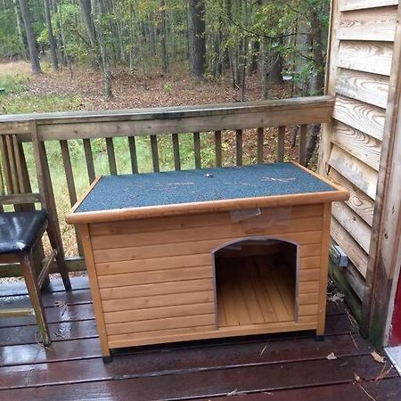 Rustic Quaint Cabin In The Woods--Pets Welcomed Dunnsville Zewnętrze zdjęcie