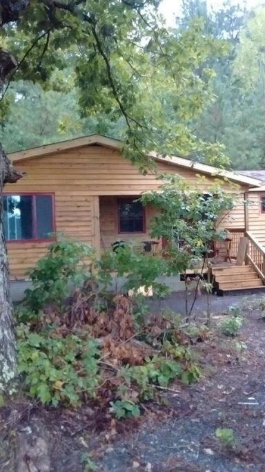 Rustic Quaint Cabin In The Woods--Pets Welcomed Dunnsville Zewnętrze zdjęcie
