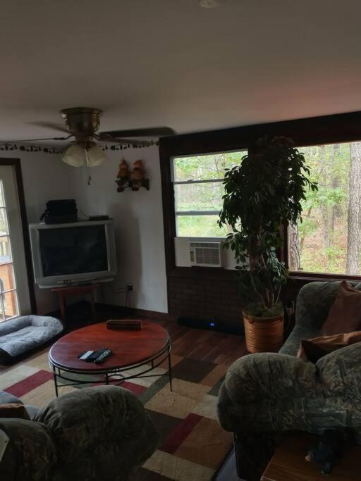 Rustic Quaint Cabin In The Woods--Pets Welcomed Dunnsville Zewnętrze zdjęcie