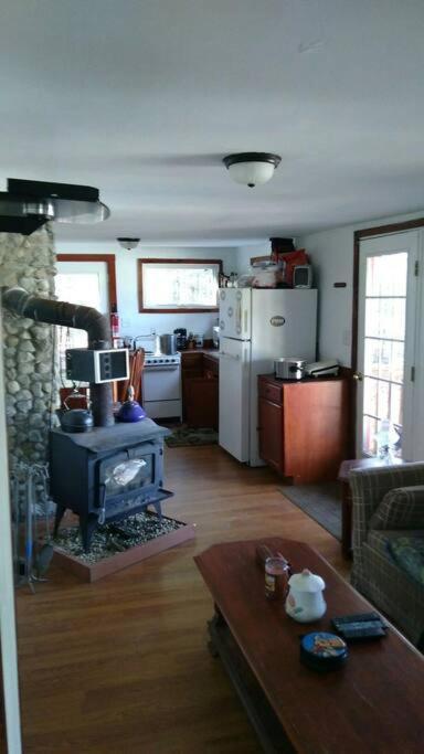 Rustic Quaint Cabin In The Woods--Pets Welcomed Dunnsville Zewnętrze zdjęcie